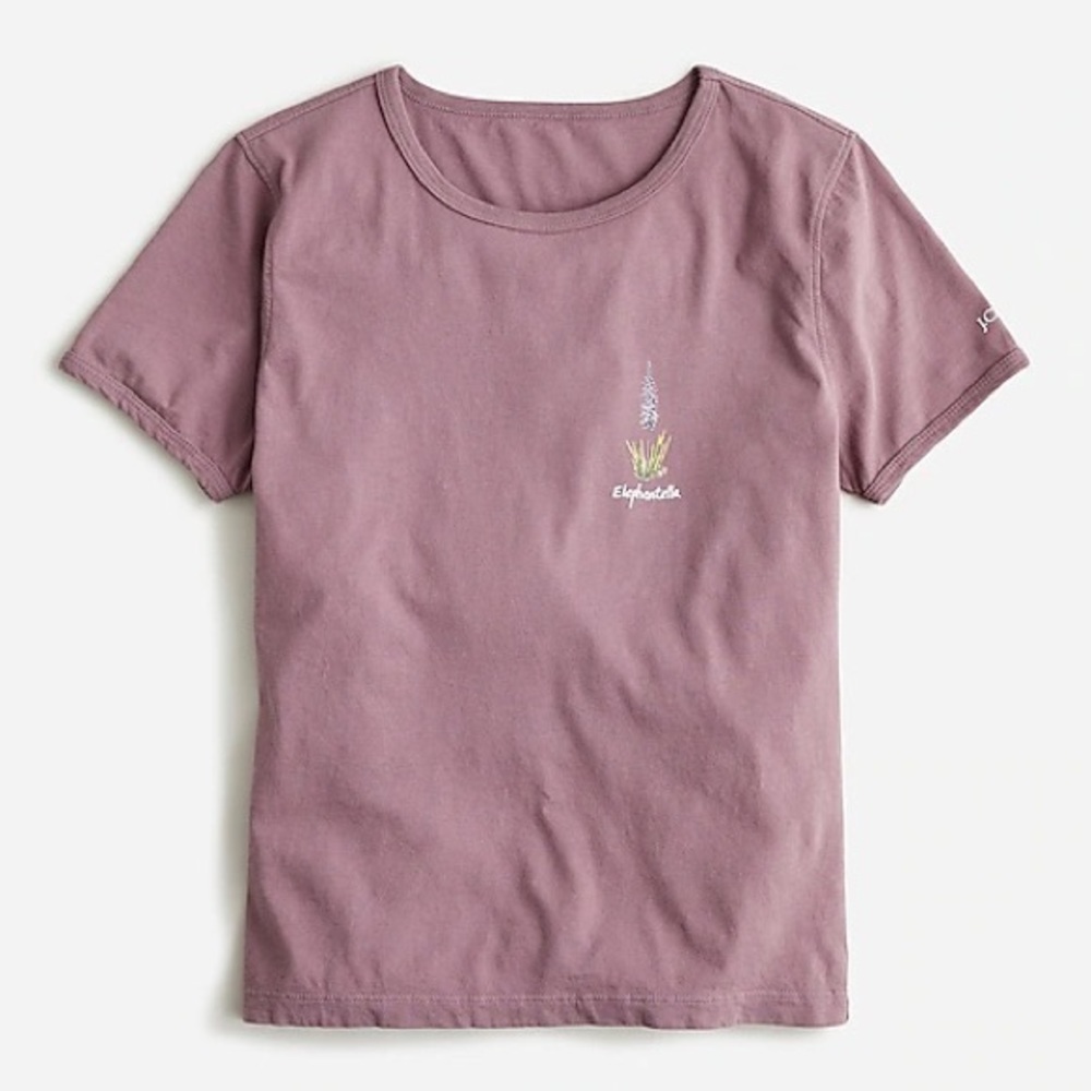 National Parks X J Crew Great Sand Dunes T-Shirt